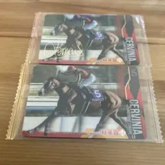 サラブレッドホースコレクション　3R チェルヴィニア　セット