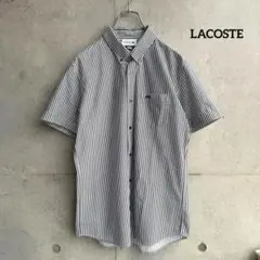 LACOSTE BDシャツ 半袖シャツ ストライプ 短丈 cityboy
