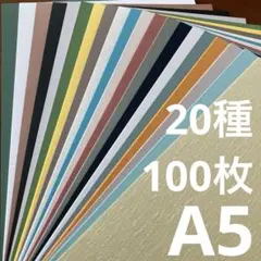 特殊紙　詰め合わせ　A5　20種　100枚セット　【NTラシャ多め】