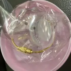 【正規品】　うちの子のけだまだま カプセルトイ　 ポメラニアン