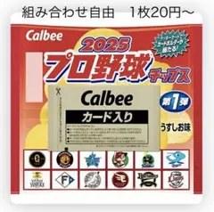 Calbee 2025 プロ野球チップスカード