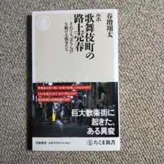 ルポ歌舞伎町の路上売春　春瑠翔太