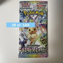 2025年最新】テラスタルフェス box 未開封の人気アイテム - メルカリ