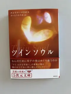 【初版】ツインソウル エンリケ・バリオス著のサムネイル