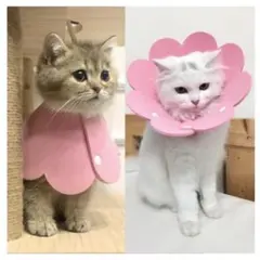 【新品】エリザベスカラー 猫用 犬用 ソフト 着脱便利 傷舐め 引っ掻き XS