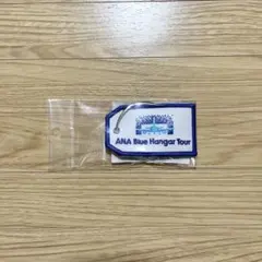 ANA Blue Hangar Tour ネームタグ