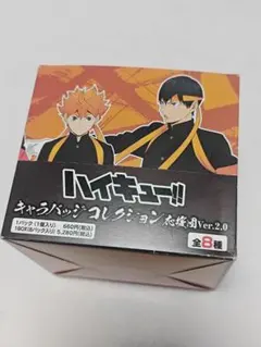 ハイキュー!! キャラバッジコレクション応援団 2.0 缶バッジ 　新品　未開封