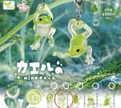 カエルのMineチャーム ガチャ カエル マスコット のどふくらまし