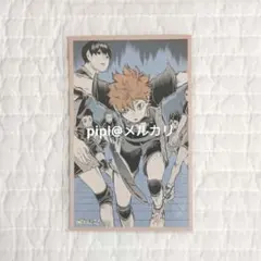 ハイキュー メモリアルコレクション 第1弾 日向翔陽 影山飛雄