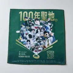 【新品未使用】甲子園球場100周年コラボミニタ オル　ドカベン　水島新司