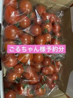 0412 ごるちゃん様用トマト