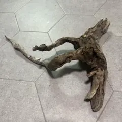 流木 アクアリウム 爬虫類 レイアウト素材 約37cm