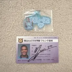 Item thumbnail for item 6c9fc026-eb81-4f50-b05c-1a84e9461791