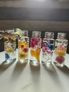 ハーバリウム