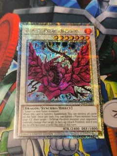 ブラック・ローズ・ドラゴン 25th クオシク - メルカリ