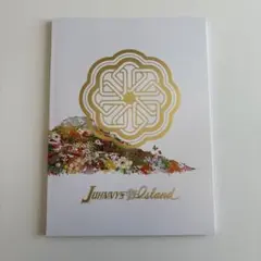 Johnnys Happy New Year Island パンフレット