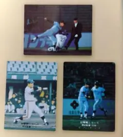 カルビープロ野球カード　1975年　南海　野村克也 選手・監督　3枚セット