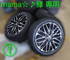 mama☆♪ 様専用①　レオニスSK　17インチのサムネイル