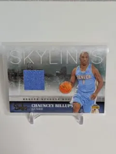 Chauncey Billups/249