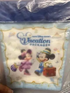 ☆東京ディズニーリゾート バケーションパッケージ ポップコーンバッグ☆
