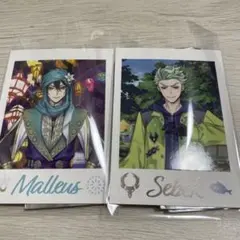 ツイステ展 ランダムカード マレウス セベク