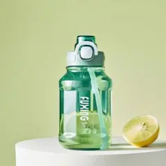 Item thumbnail for item b0ef5b69-2314-4874-933d-b4f6269cbf88