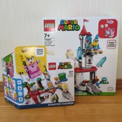 Item thumbnail for item 1d2d19fa-101c-4adb-a61c-fc4213e63881