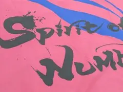 鹿島アントラーズ ビッグフラッグ Spirit of Zico - メルカリ