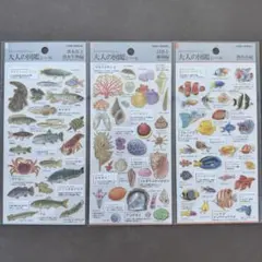大人の図鑑 3枚セット