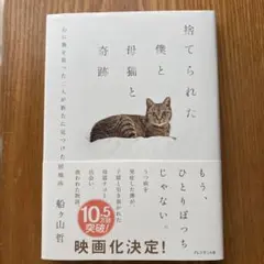 捨てられた僕と母猫と奇跡 : 心に傷を負った二人が新たに見つけた居場所
