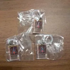 仮面ライダー めじるしアクセサリー/剣 ラウズカード