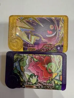 ポケモンフレンダ　メガゲンガー　メガメガニウム