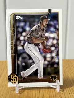 Item thumbnail for item d2b353bb-1e8d-429f-a020-278c63c72a84