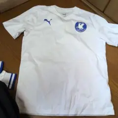 Item thumbnail for item 10ebdac2-f784-47f9-bf7b-feb95e122eb2