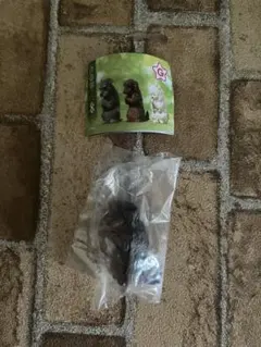 合掌　匠　犬拝　其の参　ダックスフンド