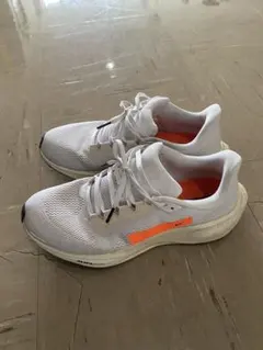 Item thumbnail for item 31ccda06-065f-40b5-9ab8-4d7b135c3d3a