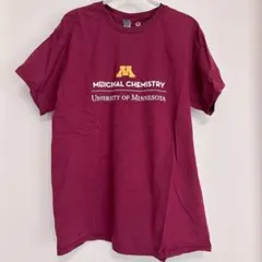 GILDAN バーガンディ Tシャツ ミネソタ大学 【L】カレッジT 海外古着