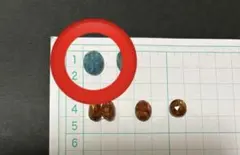 【専用】カイヤナイト　ミント