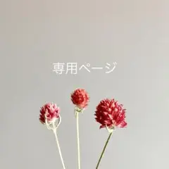 希少美品】アビランド ルイ・フィリップ 限定1枚 - メルカリ
