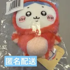 【8/31まで値下げ】ちいかわ たこイカくじ C賞 たこイカぬいぐるみ はちわれ