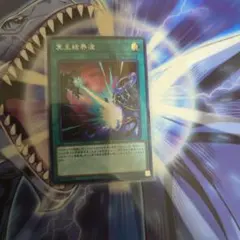 遊戯王OCG 冥王結界波 1枚シークレット