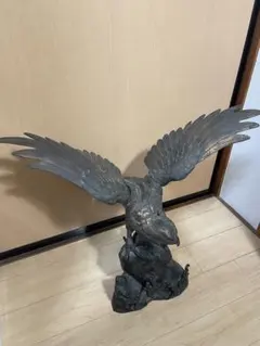 タカ類 ハイイロチュウヒ 剥製 ガラスケース入 引き取り限定 - メルカリ