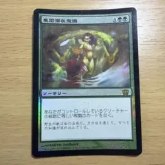 巣穴の魂商人 foil - メルカリ