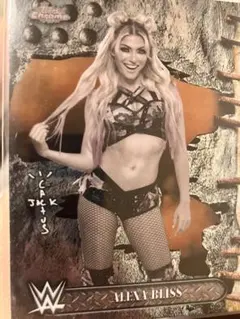 アッシュ様 リクエスト 3点 まとめ商品