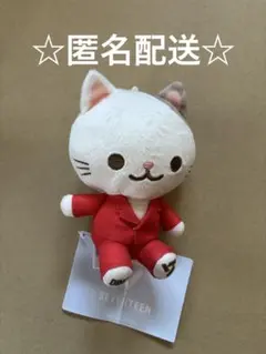 SEVENTEEN　ぬいぐるみ　ねこ　ディノ