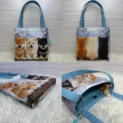 Item thumbnail for item ad0fda63-7ff0-45ad-ac66-0543612ebeb4