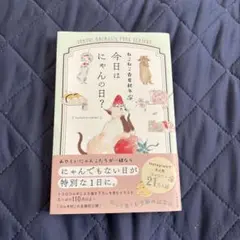 ねこねこ春夏秋冬 今日はにゃんの日?