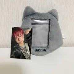 ハルア トレカ タレントカード