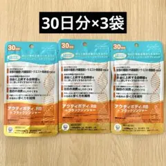 イクチオステガ様 リクエスト 3点 まとめ商品