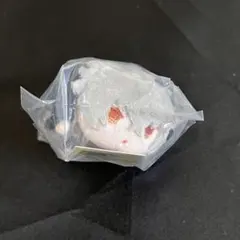 もちマス ミニ 晃牙